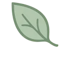 cozylife